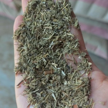 【推荐】河南南阳艾草大叶供应艾枕艾锤艾制品加工厂