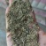 【推荐】河南南阳艾草大叶供应艾枕艾锤艾制品加工厂