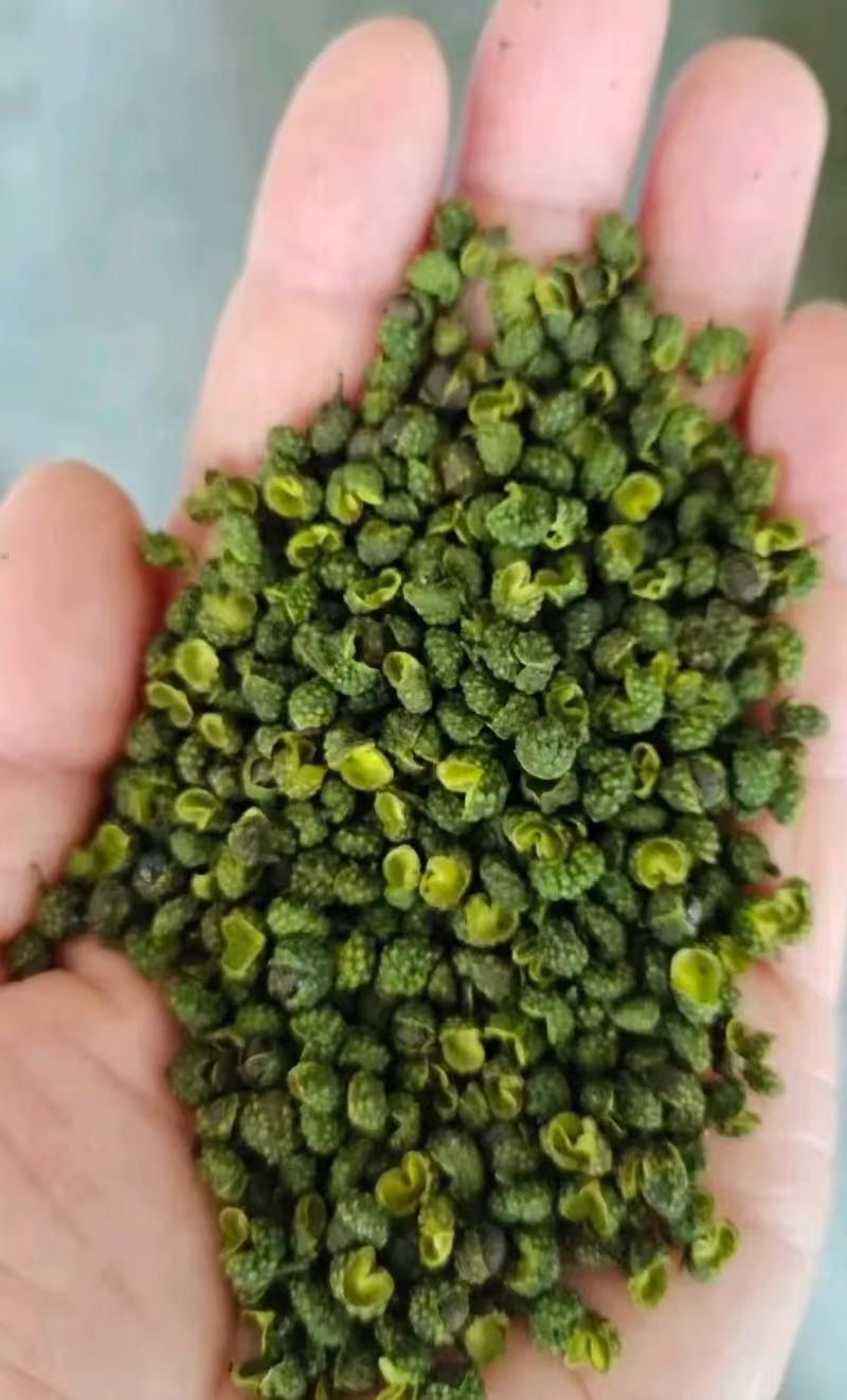 花椒\青花椒\四川凉山盐源县大凉山青花椒又香又麻货量充足