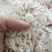 淡干虾皮货源充足价格便宜品质保证一手货源欢迎咨询