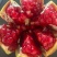 会理石榴/突尼斯软籽石榴/无籽石榴/现货现发