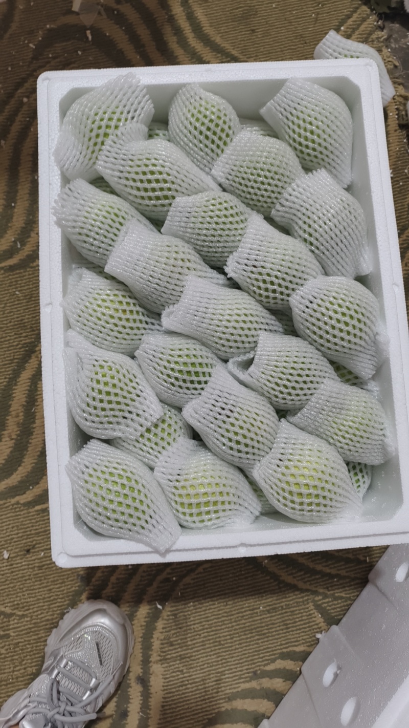 云南蒙自芭乐