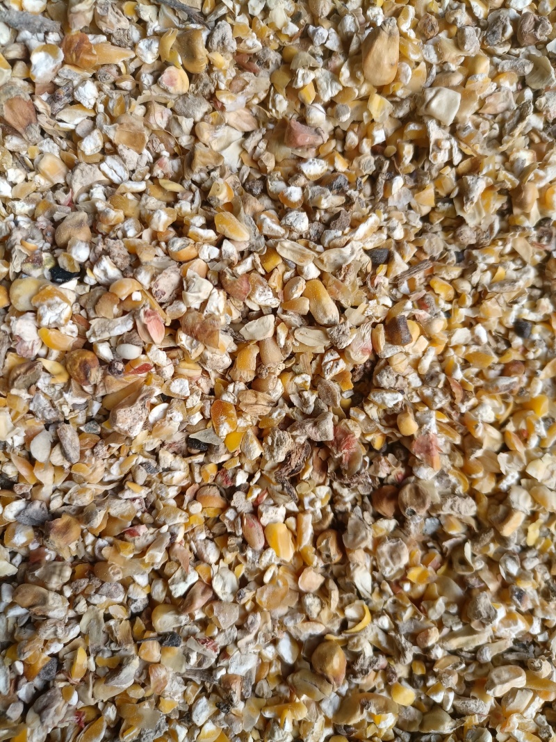 碎玉米，量大价格优惠