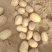 陕西榆林精品土豆，产地大量发货，质量保证，视频实地看货