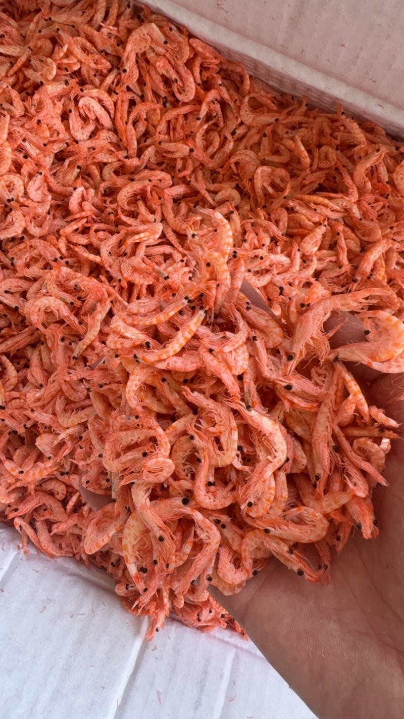 磷虾干磷虾一手货源资质齐全欢迎联系咨询合作