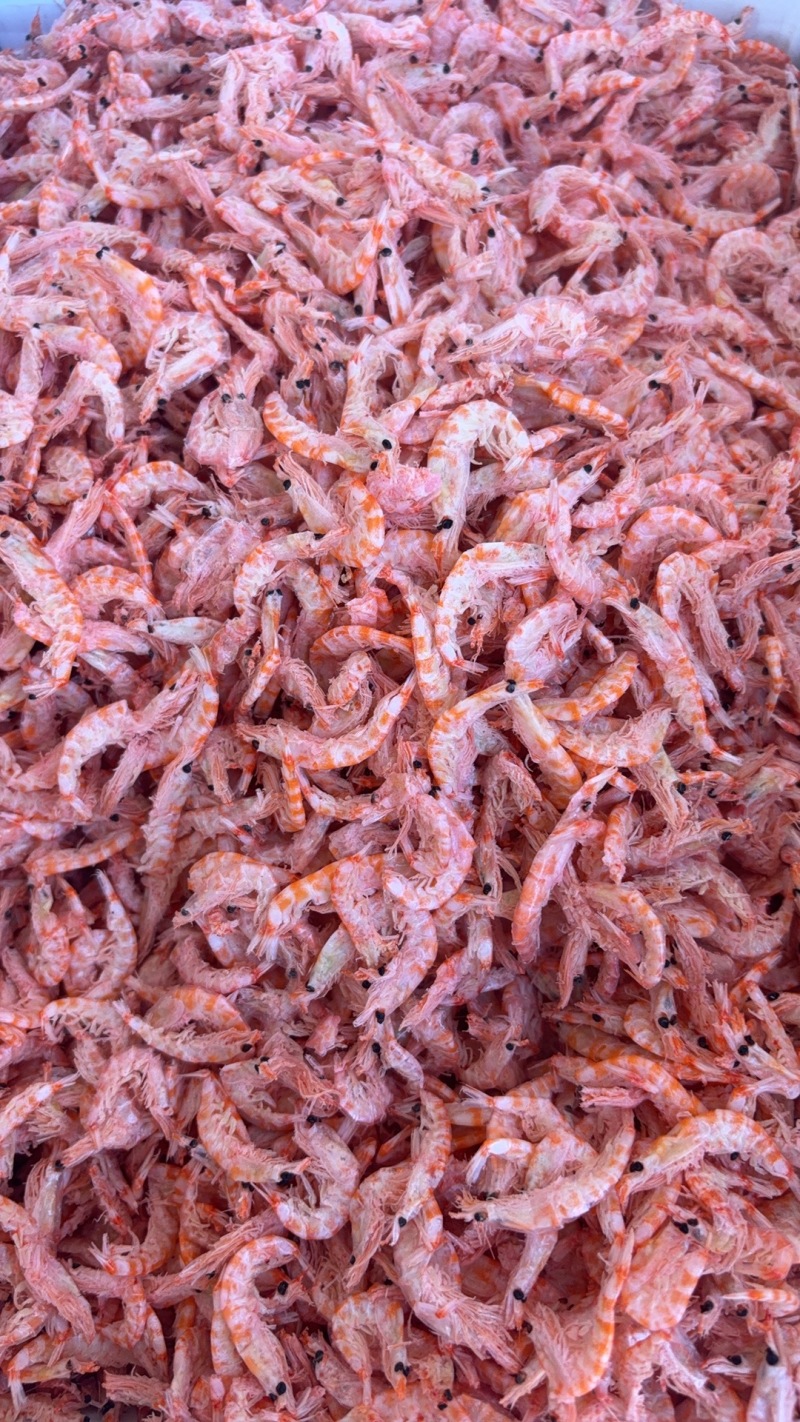 磷虾干磷虾一手货源资质齐全欢迎联系咨询合作