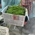 精品线椒大量上市/山东临沂产地发货/一手货源价格实惠
