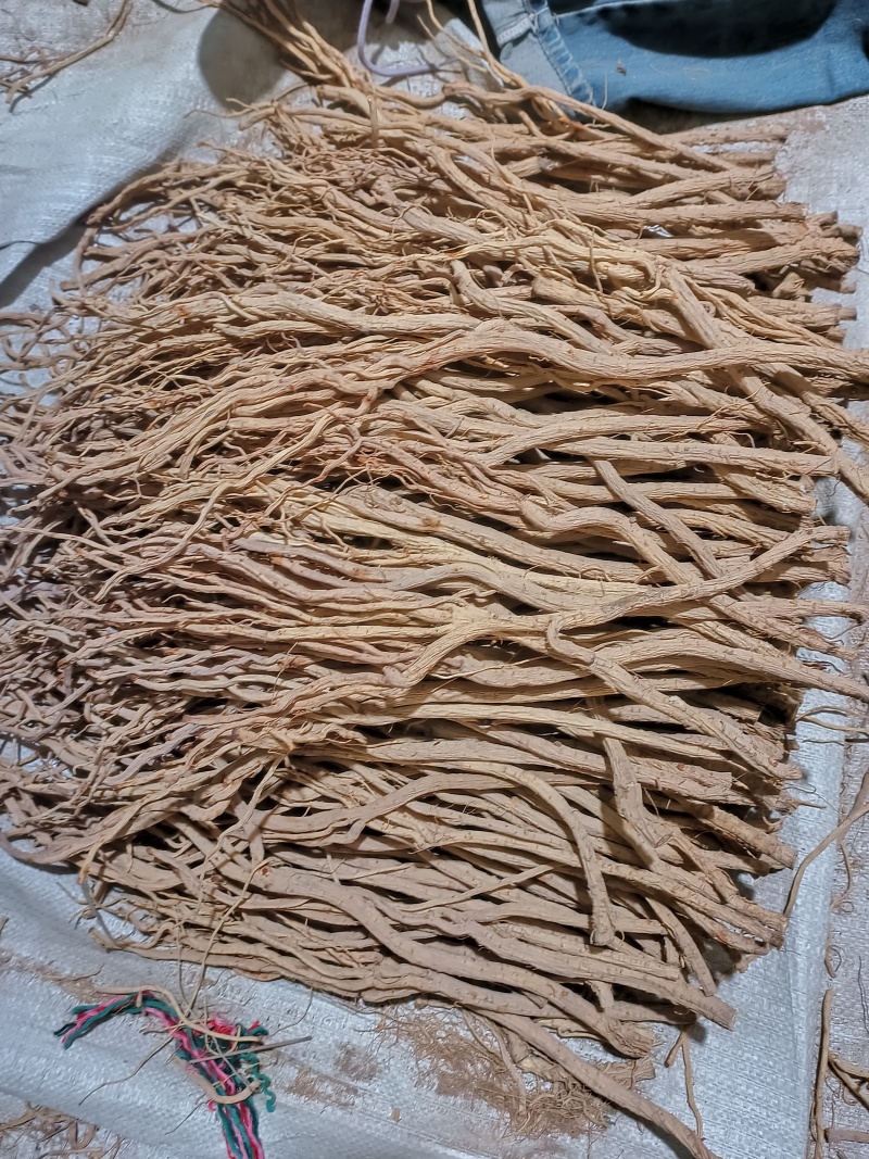 甘肃地产去头防风产地直发，滋补养生，物美价廉