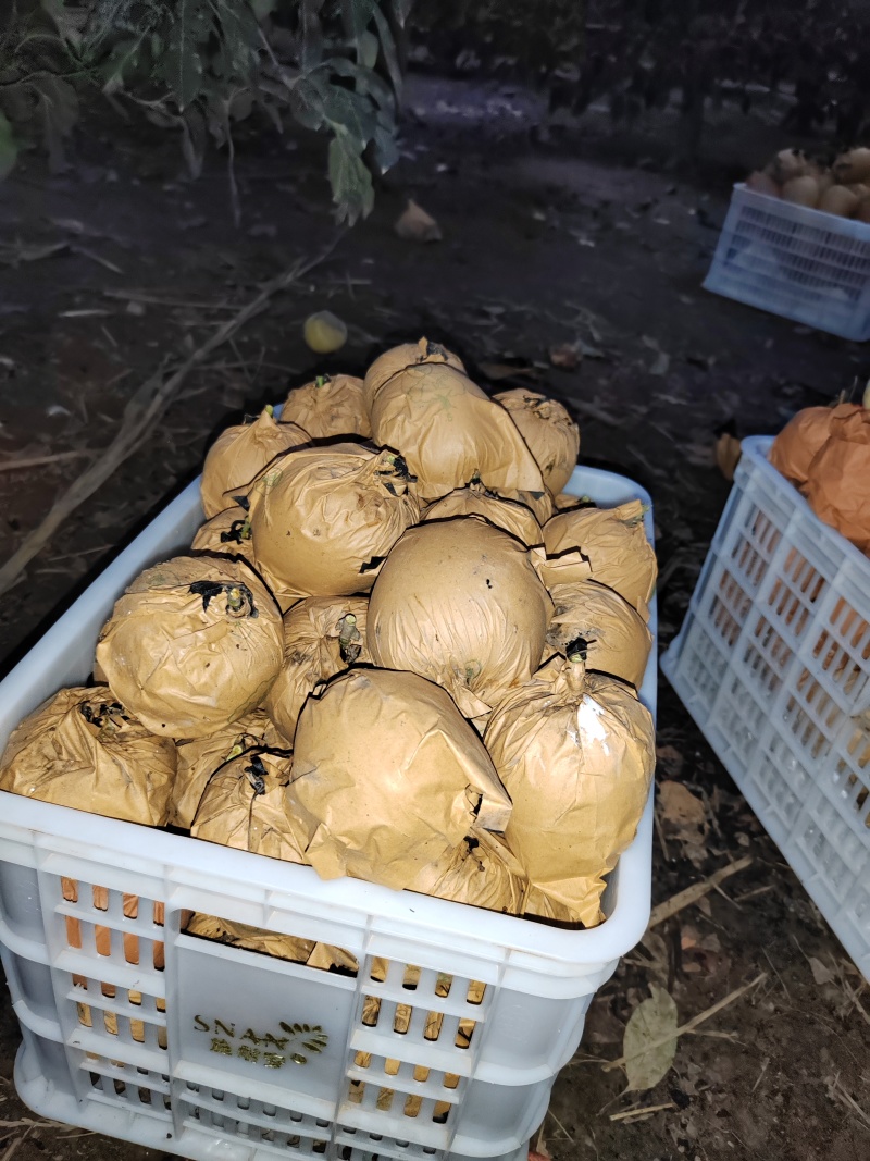 鲜果，现货，有限