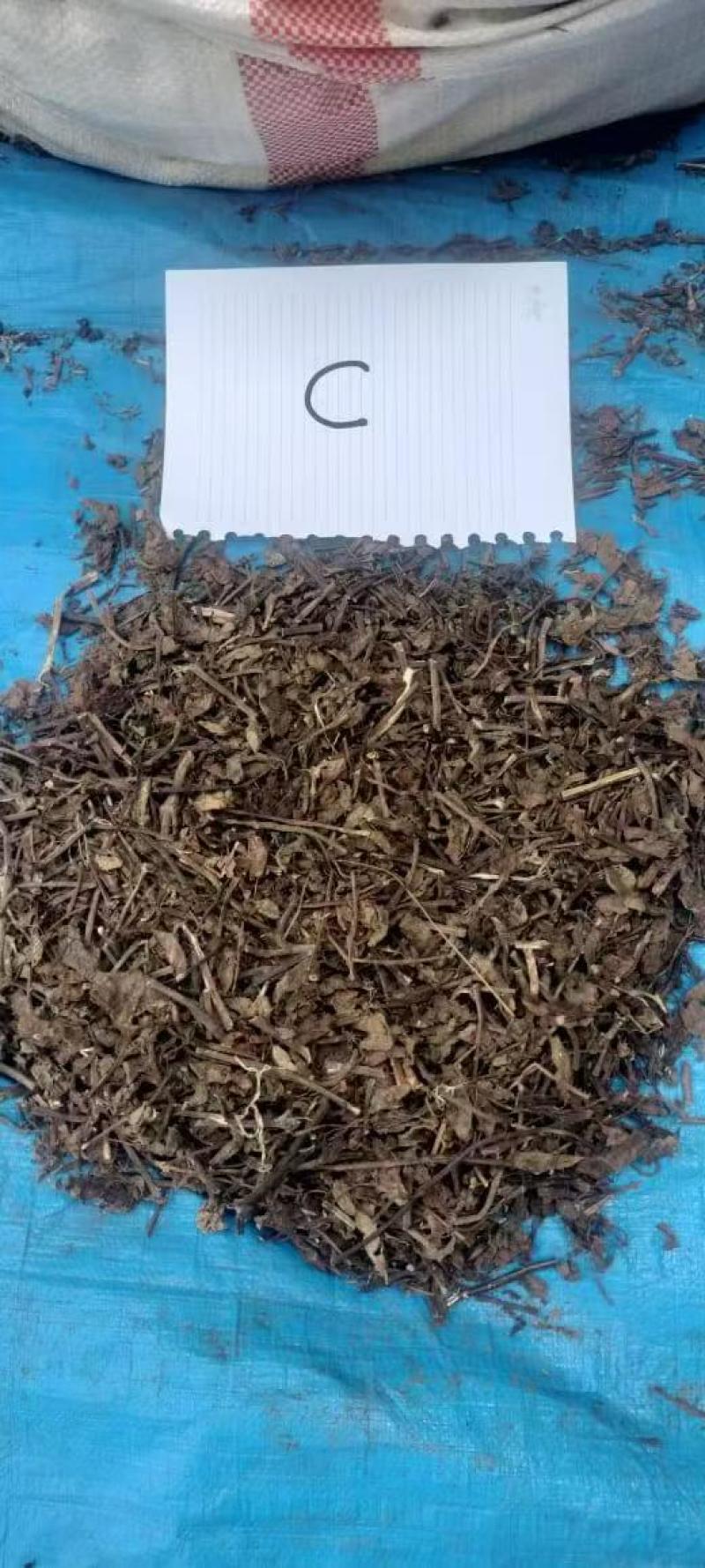 高胶质进口凉粉草产地直发质量保证