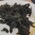 高胶质进口凉粉草产地直发质量保证