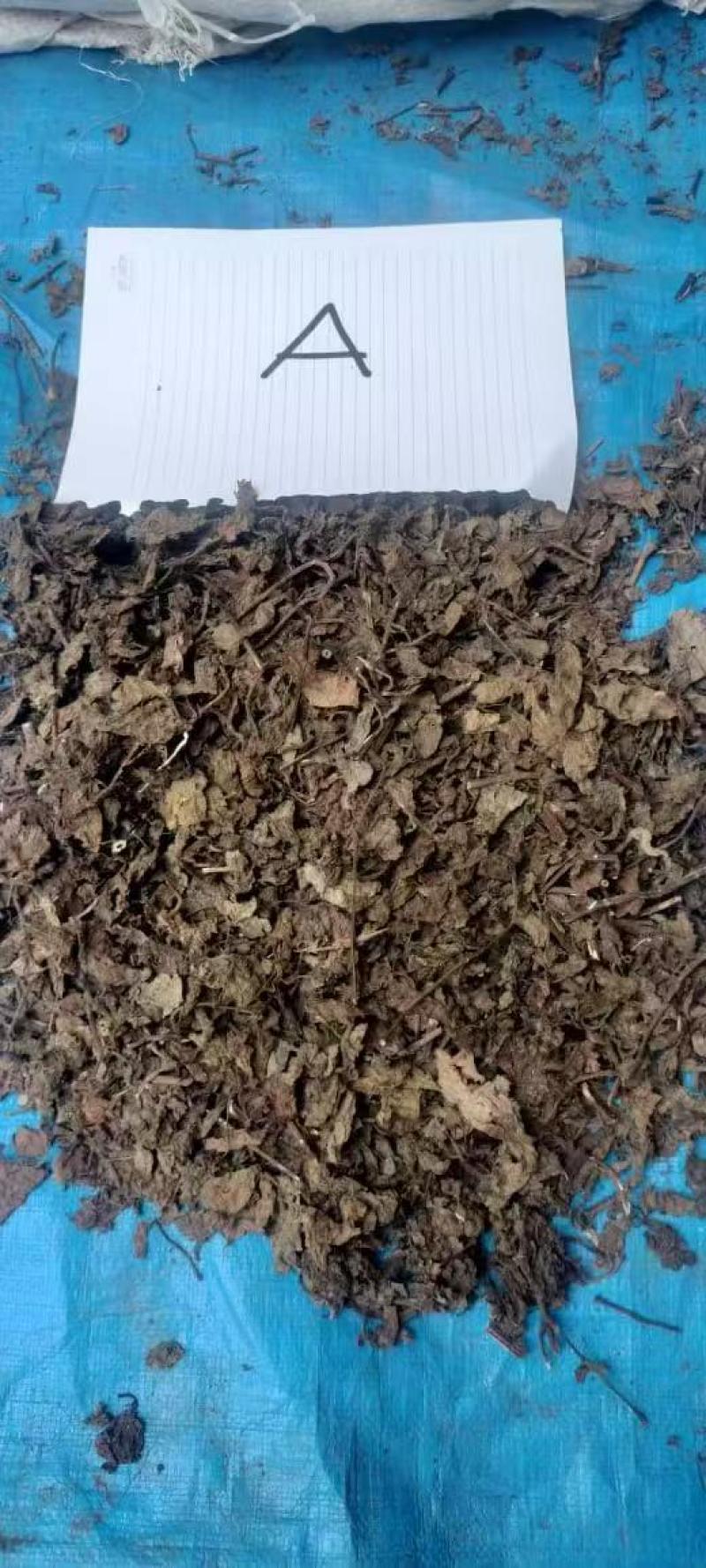 高胶质进口凉粉草产地直发质量保证