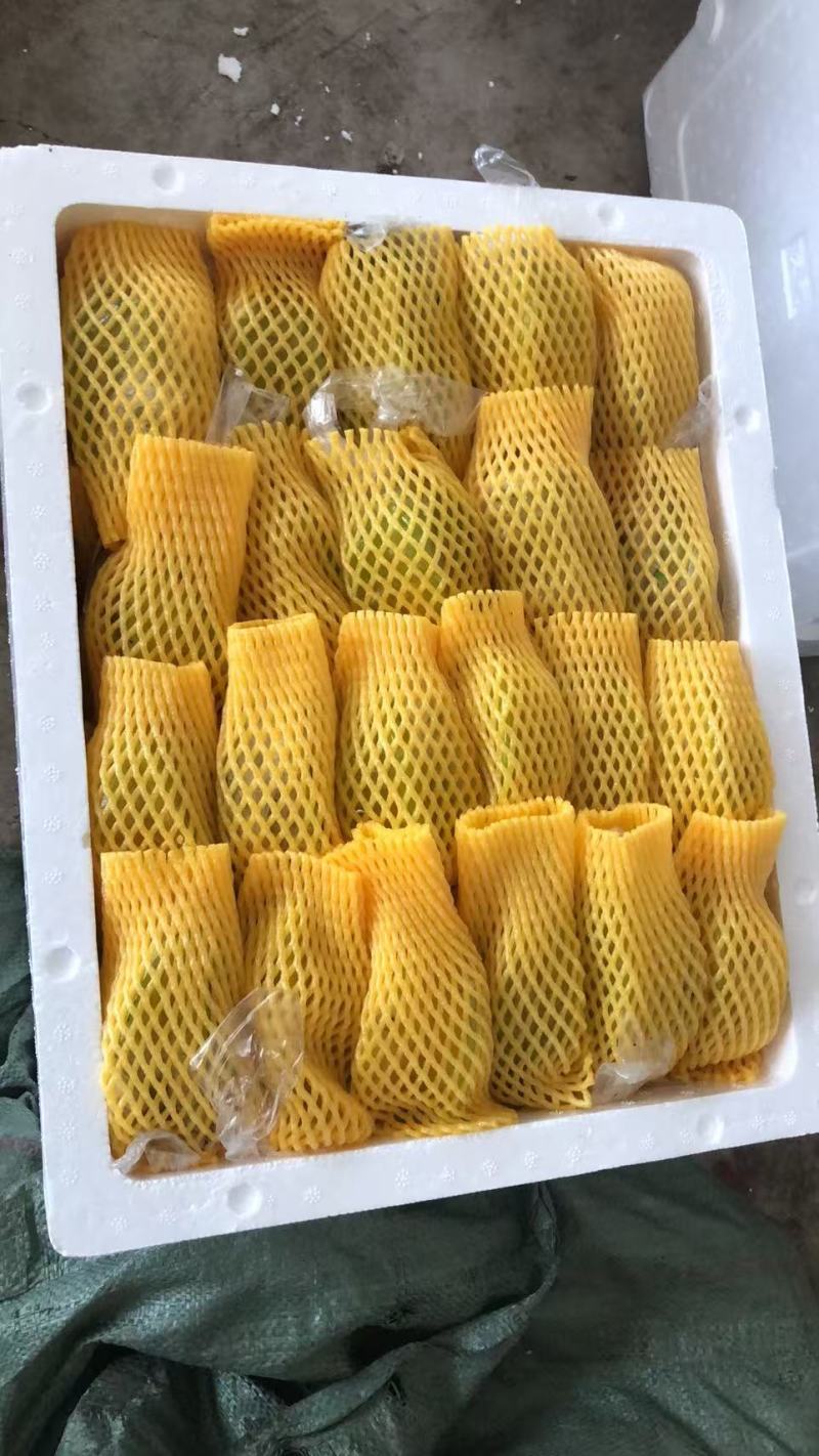 福建漳州杨桃产地直发，专业对接多多买菜市场电商。