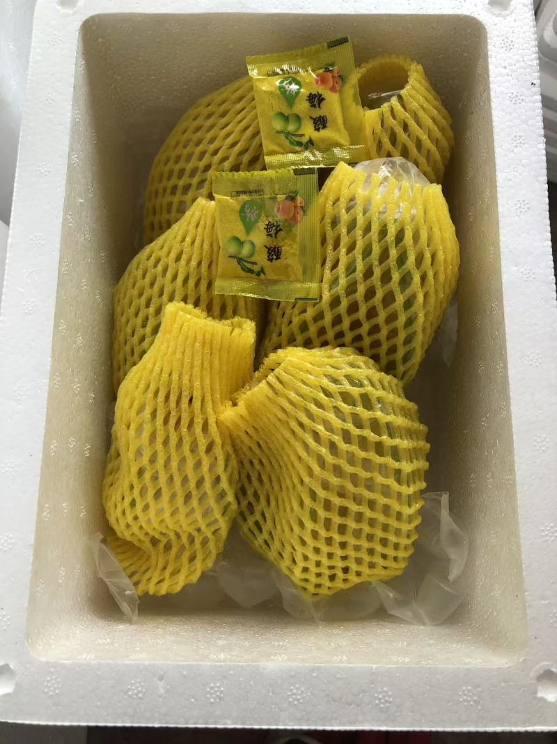 福建漳州杨桃产地直发，专业对接多多买菜市场电商。