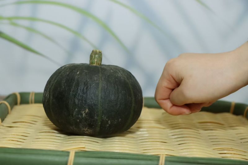 贝贝南瓜