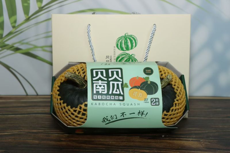 贝贝南瓜