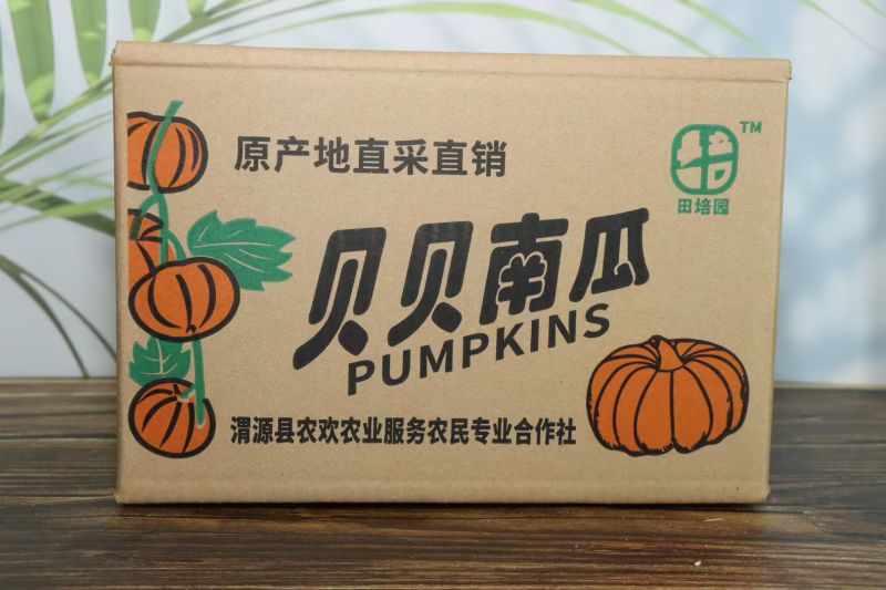 贝贝南瓜