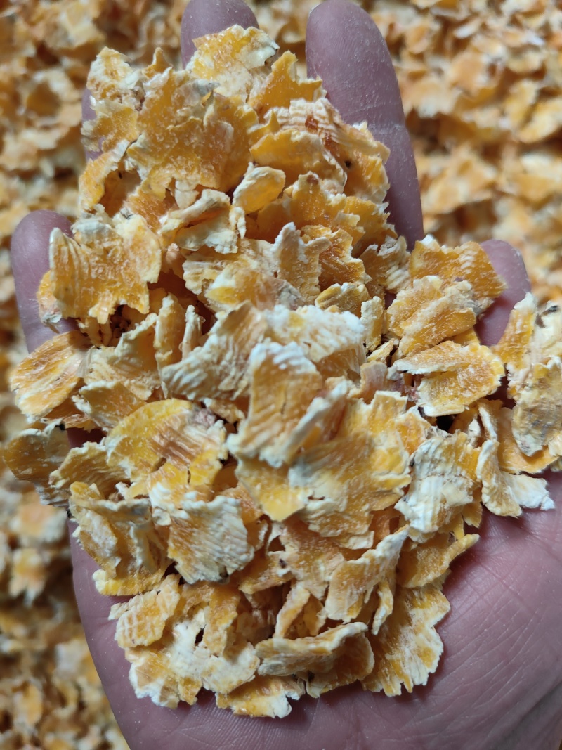 玉米压片是经过蒸汽，高温，熟化后的烘干产品