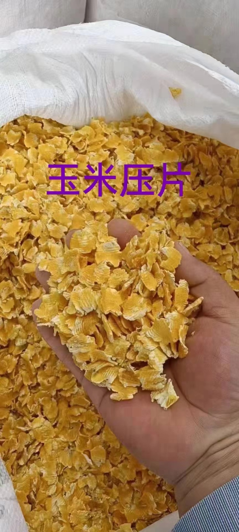 玉米压片是经过蒸汽，高温，熟化后的烘干产品