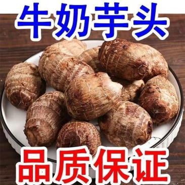 山东牛奶芋头，产地一手货源量大优惠主要做电商一件代发