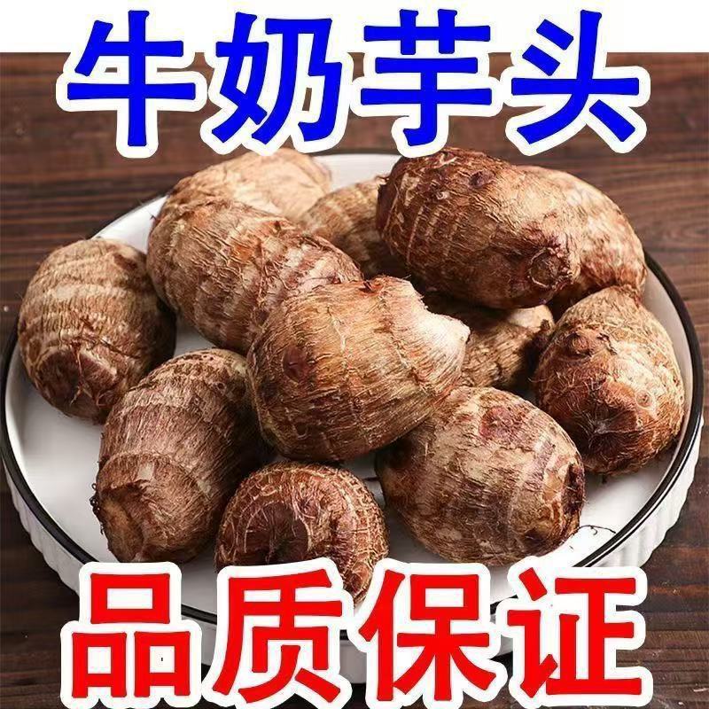 山东牛奶芋头，产地一手货源量大优惠主要做电商一件代发