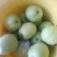 阳信县早酥梨原树梨冷库果