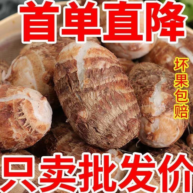 山东牛奶芋头，产地一手货源量大优惠主要做电商一件代发
