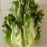 生菜