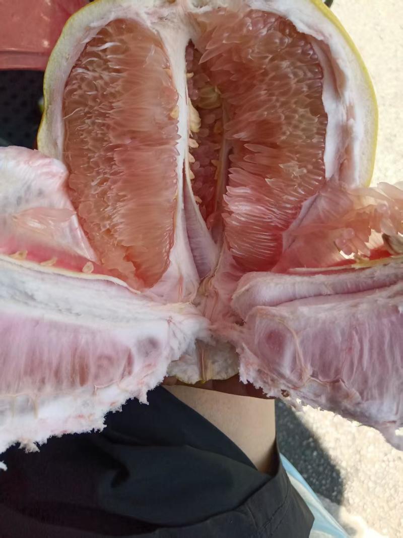 红红心柚
