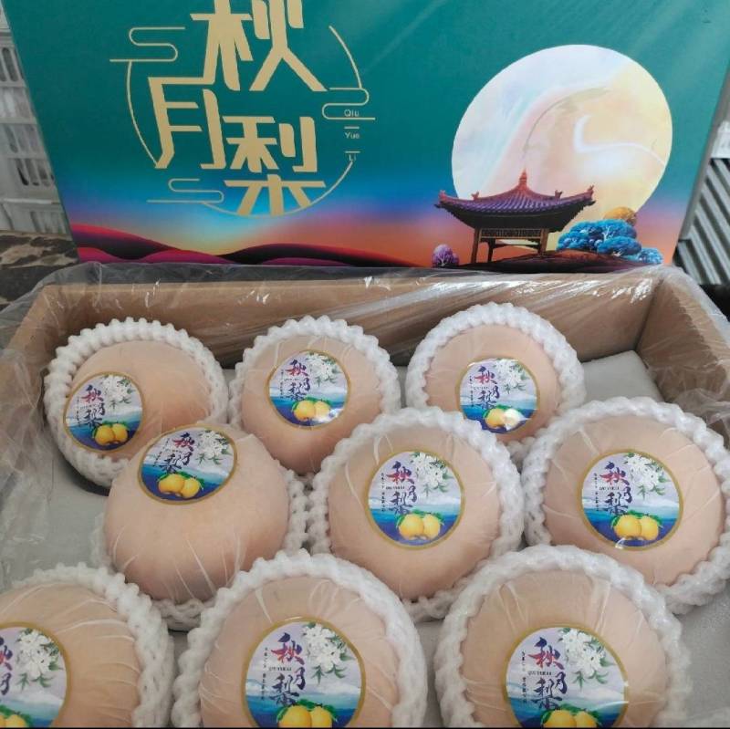 正宗秋月梨脆甜无渣多汁，产地包装冷库车间选果一站服务