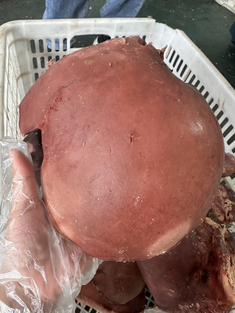 熟牛肝，牛肝，熟食，熟牛副，熟牛杂