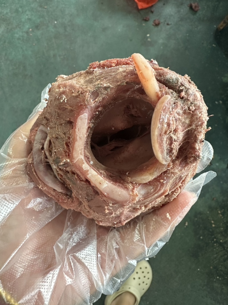 牛喉头，熟牛喉头，熟牛脆骨，熟牛肉，熟牛杂批发