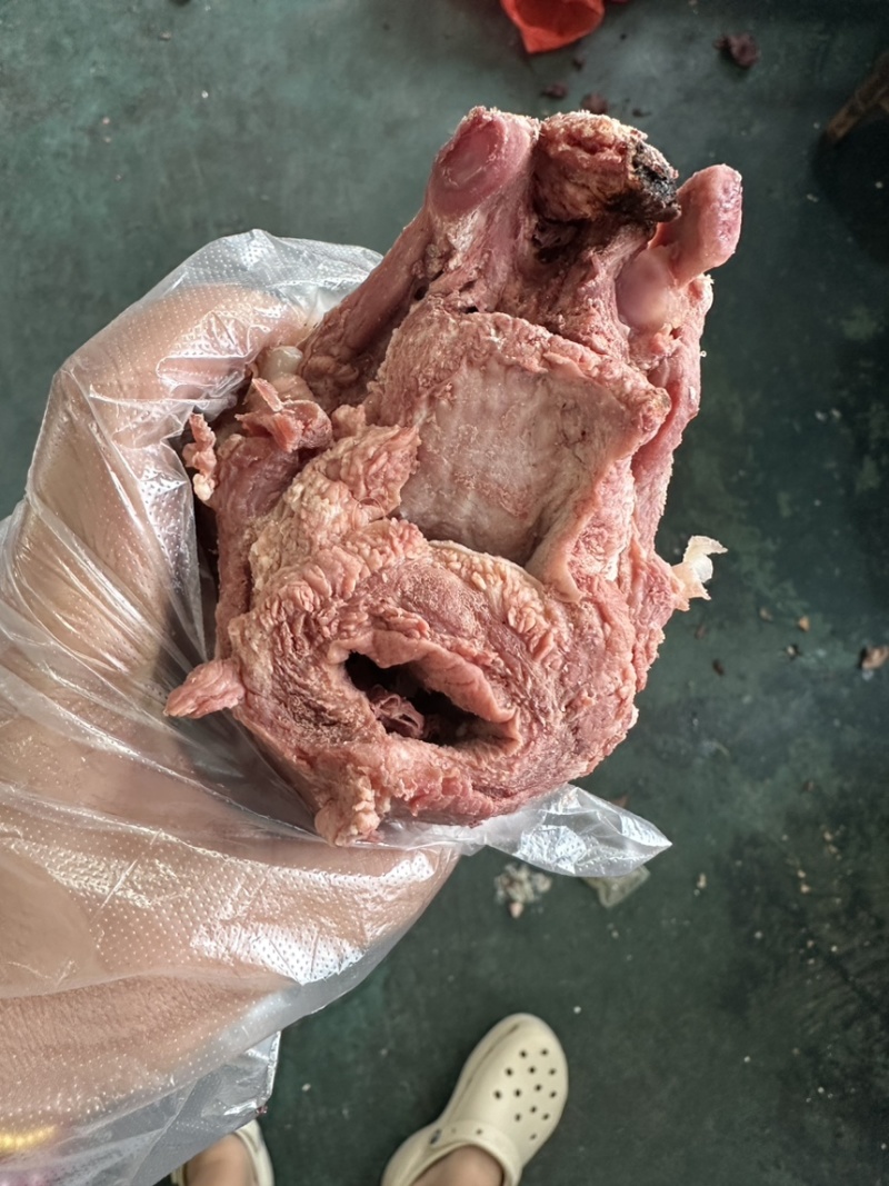 牛喉头，熟牛喉头，熟牛脆骨，熟牛肉，熟牛杂批发