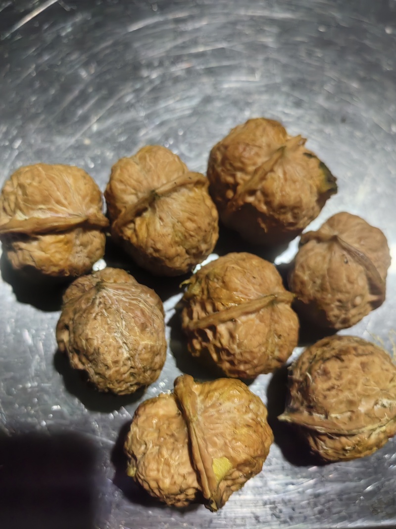 云南四方果青皮核桃