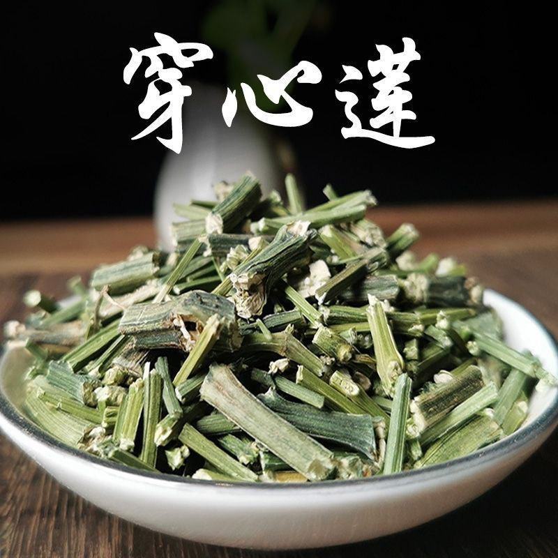 穿心莲批发川心连野生苦胆草可磨穿心莲粉中药材批发