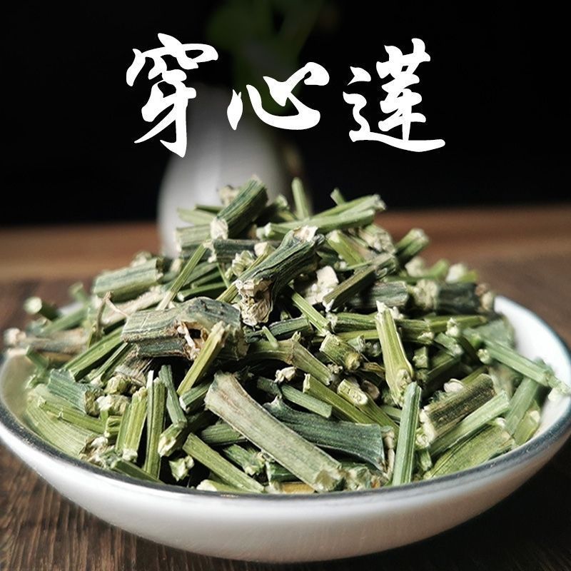 穿心莲批发川心连野生苦胆草可磨穿心莲粉中药材批发