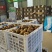 精品徐香猕猴桃新鲜现摘现发品质保证可一件代发包邮
