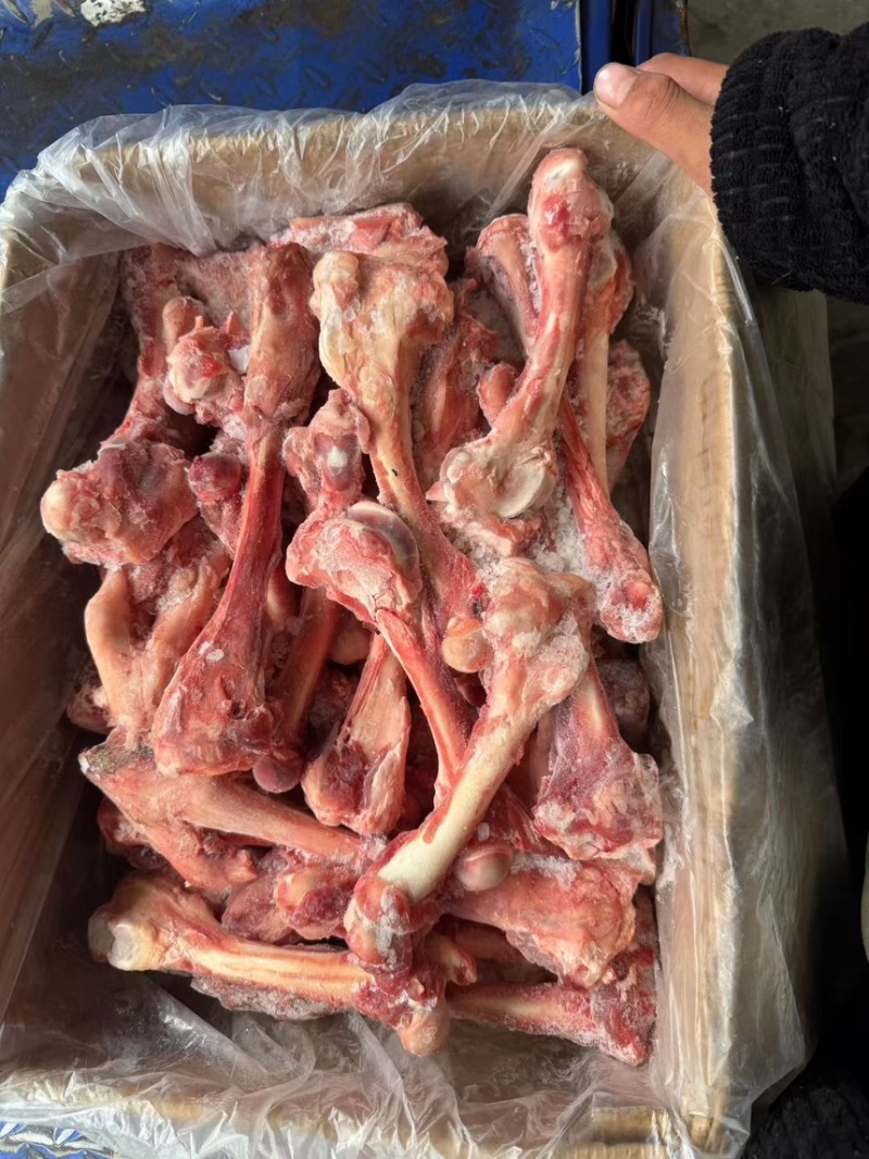 羊棒骨，熬汤羊棒骨，熬汤羊骨头，羊骨头批发