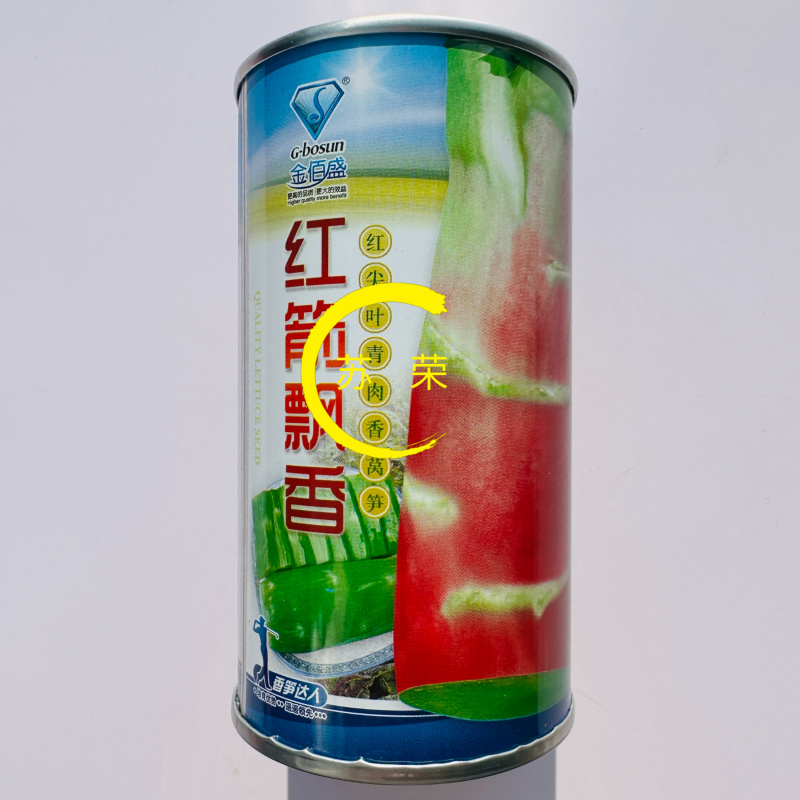 红箭飘香莴笋种子红皮香窝笋莴苣种籽耐寒青笋秋季四季蔬菜