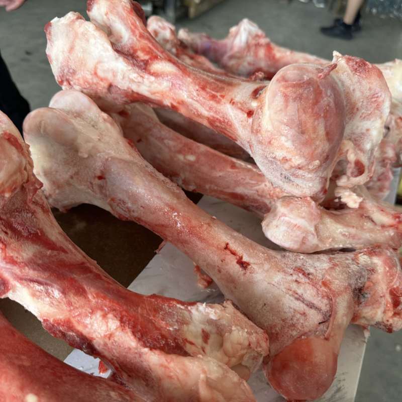 牛棒骨颜色新鲜，鲜冻牛棒骨，熬汤专用牛棒骨，牛骨头批发