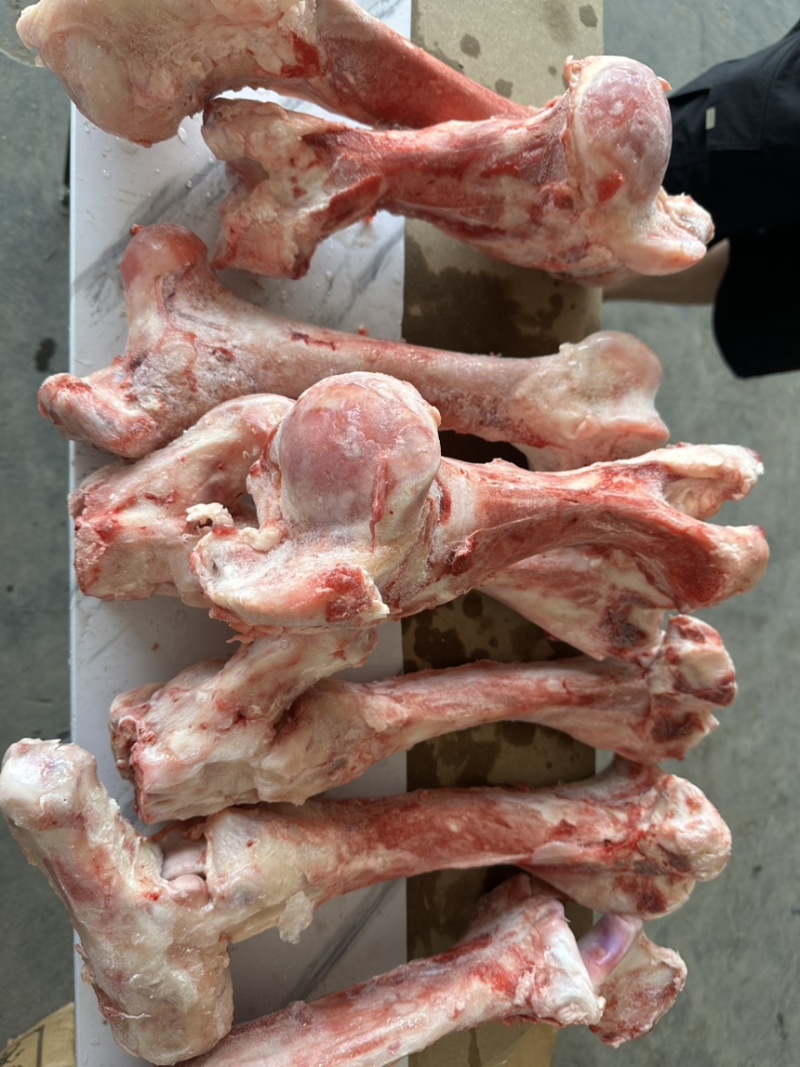 牛棒骨颜色新鲜，鲜冻牛棒骨，熬汤专用牛棒骨，牛骨头批发