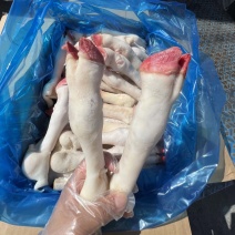羊蹄，纯白羊蹄，羊蹄批发，纯干无冰，羊副批发