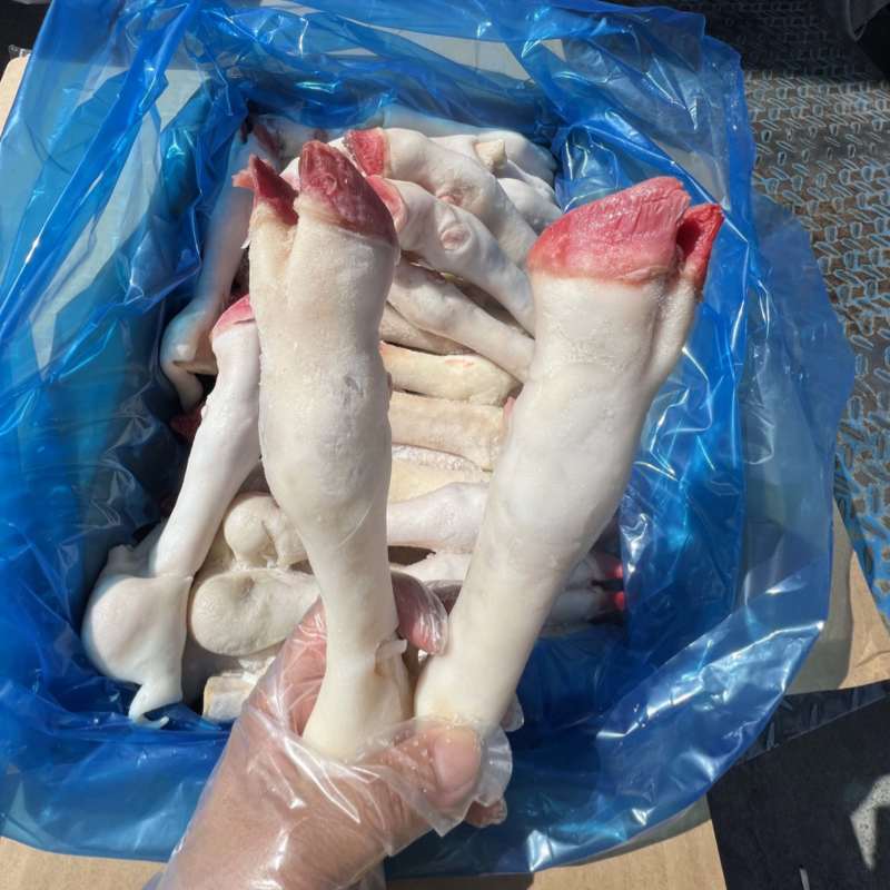 羊蹄，纯白羊蹄，羊蹄批发，纯干无冰，羊副批发