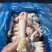 羊蹄，纯白羊蹄，羊蹄批发，纯干无冰，羊副批发