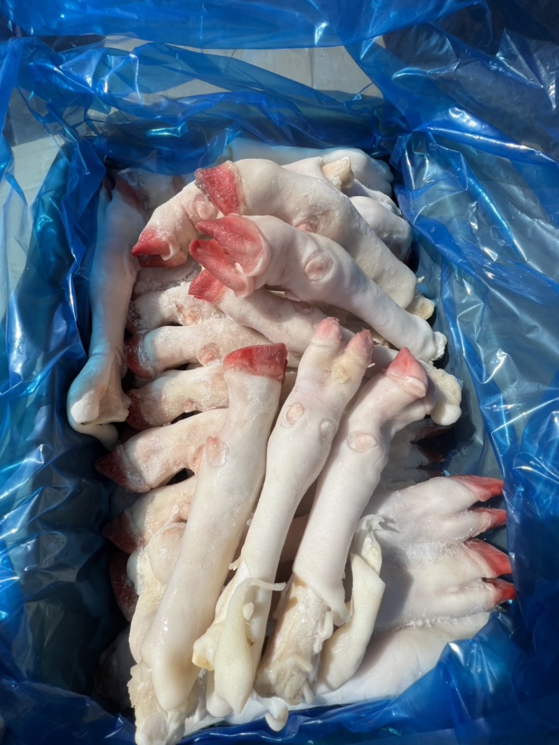 羊蹄，纯白羊蹄，羊蹄批发，纯干无冰，羊副批发