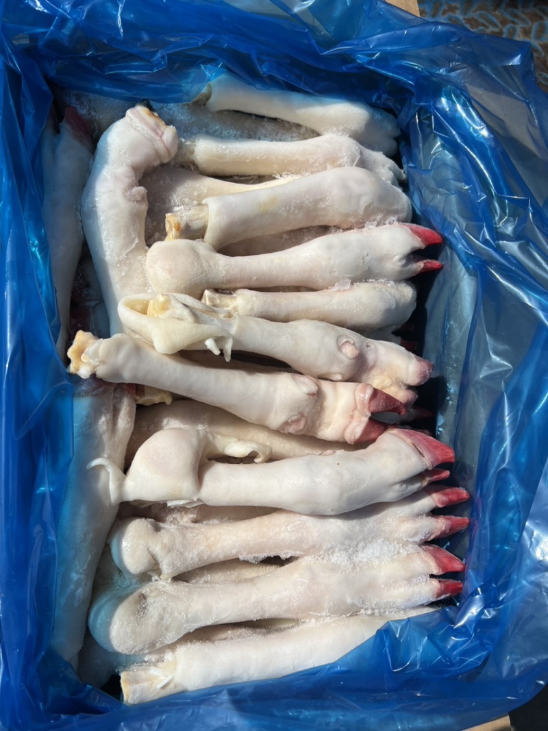 羊蹄，纯白羊蹄，羊蹄批发，纯干无冰，羊副批发