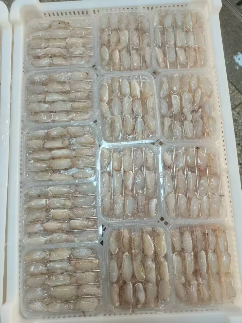 中号蟹脚肉
