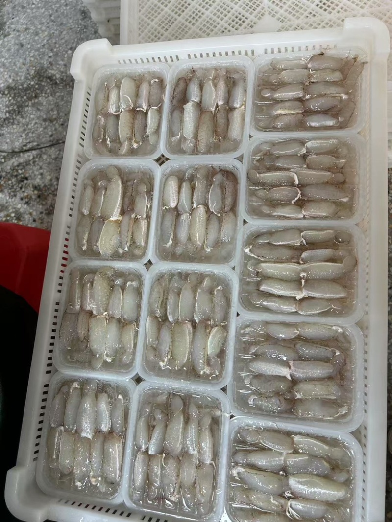 中号蟹脚肉