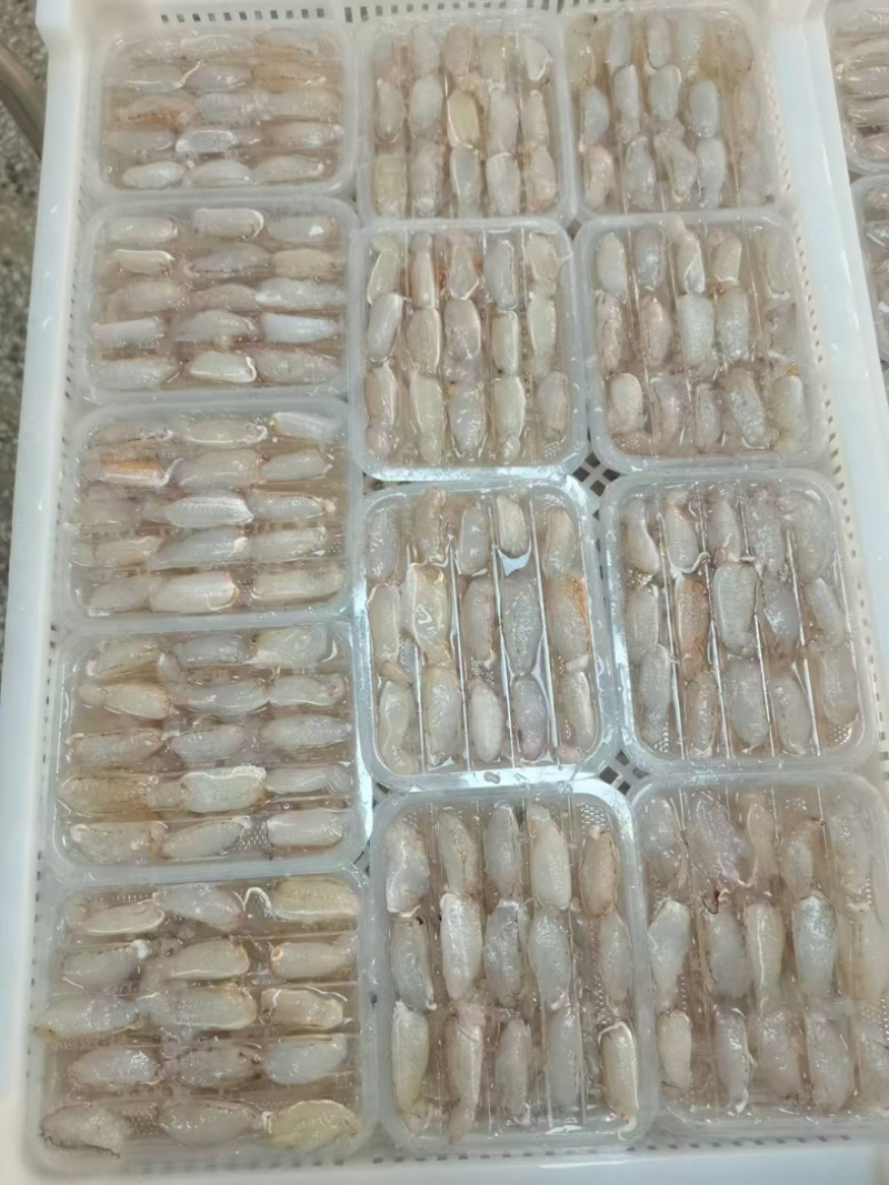 中号蟹脚肉