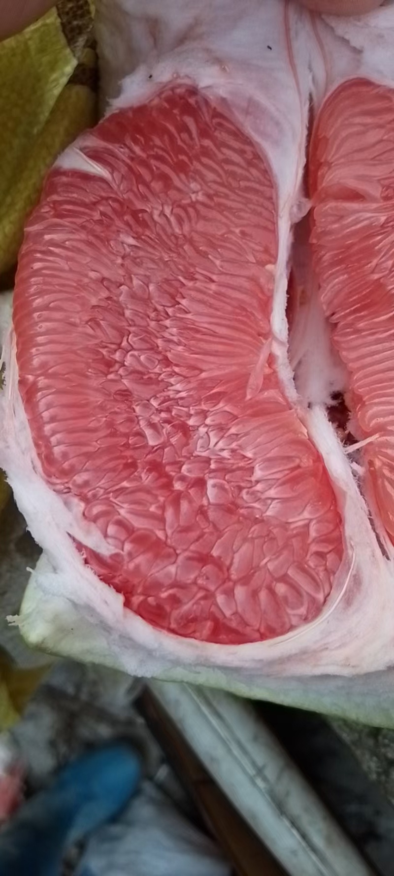 梅州红心蜜柚